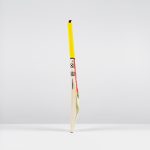 1617508T_Tempesta_1.4_300_Profile